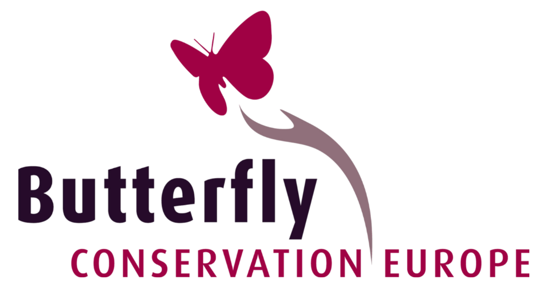 Butterfly Conservation Europe Logo